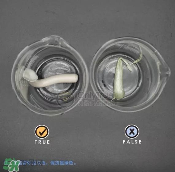 露姬婷洁面膏真假怎么辨别 露姬婷洁面膏真假对比图 露姬婷洁面膏真假怎么辨别 露姬婷洁面膏真假对比图