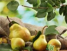 梨子能做面膜吗?梨子怎么做面膜