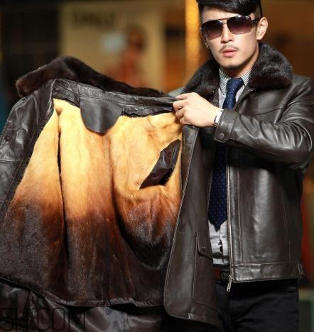 黄金貂是什么?黄金貂和水貂哪个好? 黄金貂是什么?黄金貂和水貂哪个好?