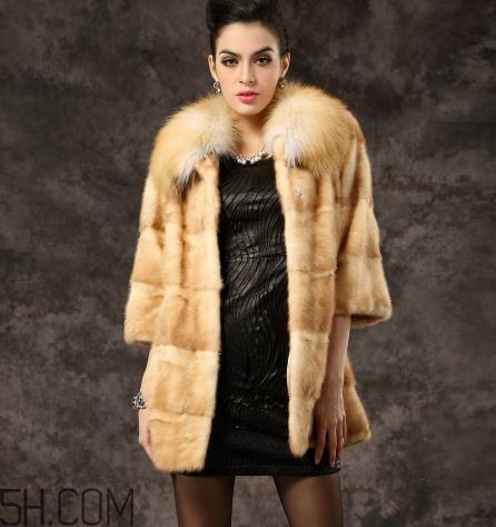 黄金貂是什么?黄金貂和水貂哪个好? 黄金貂是什么?黄金貂和水貂哪个好?