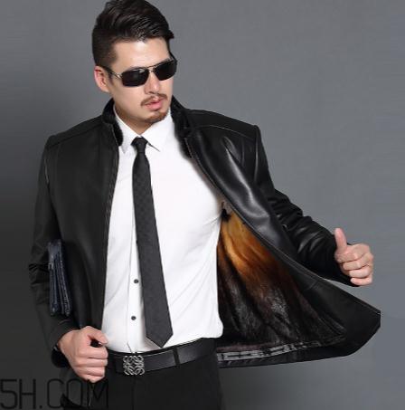 黄金貂是什么?黄金貂和水貂哪个好? 黄金貂是什么?黄金貂和水貂哪个好?