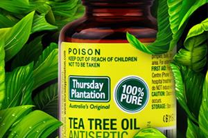 茶树精油可以去痘印吗?茶树精油可以祛痘痘吗 茶树精油可以去痘印吗?茶树精油可以祛痘痘吗