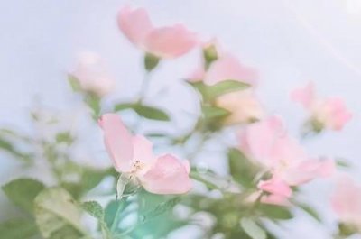 ​家属不同意火化能强制吗？不火化下葬是违法吗？