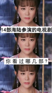 ​14部海陆参演的电视剧，你看过哪几部？哪部最好看？