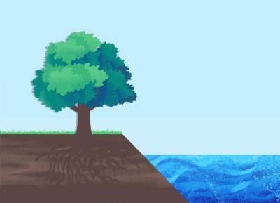 ​猪年如何行大运？