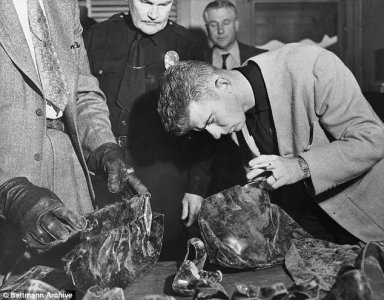 ​女子被害轰动全美，案件搁置56年后，美国警探著书：凶手是我父亲