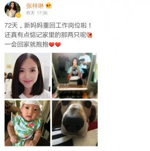 ​张梓琳嫁得真好，曾被王思聪哥们追求？就是孙若怡P车牌的原车主