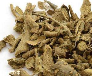 刺五加的选购技法 怎么挑选刺五加? 刺五加的选购技法 怎么挑选刺五加?