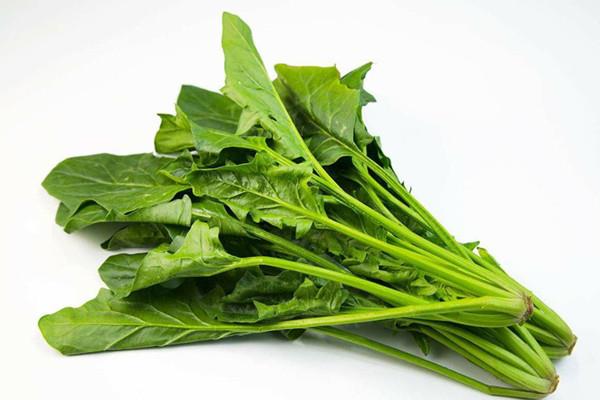 菠菜的嘌呤高不高 菠菜痛风能吃吗