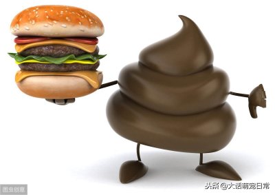 ​狗真的“改不了吃屎”吗？了解食粪症三大原因，帮助爱犬改掉恶习