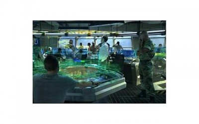 ​老婆精神出轨怎么挽回她的心，如何挽回老婆心，重建夫妻关系？