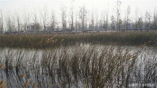 走近“鲁西南记忆”