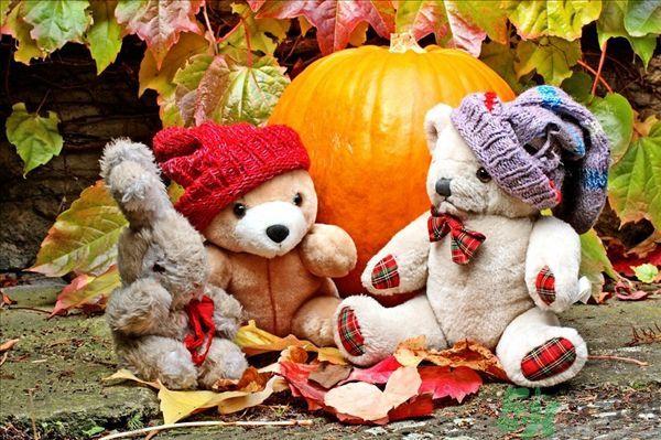 南瓜可以和西红柿一起吃吗 ？南瓜可以和番茄一起吃吗？