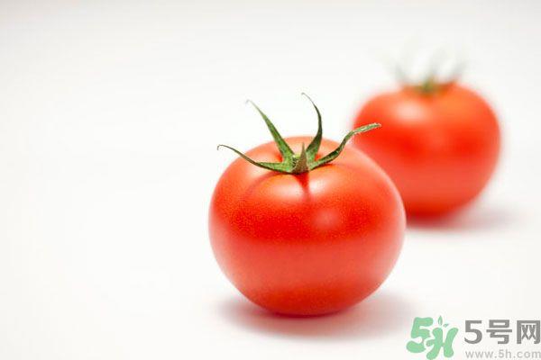 南瓜可以和西红柿一起吃吗 ？南瓜可以和番茄一起吃吗？