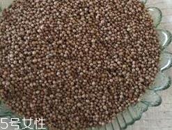 紫苏子的食用禁忌 三大食用禁忌请注意