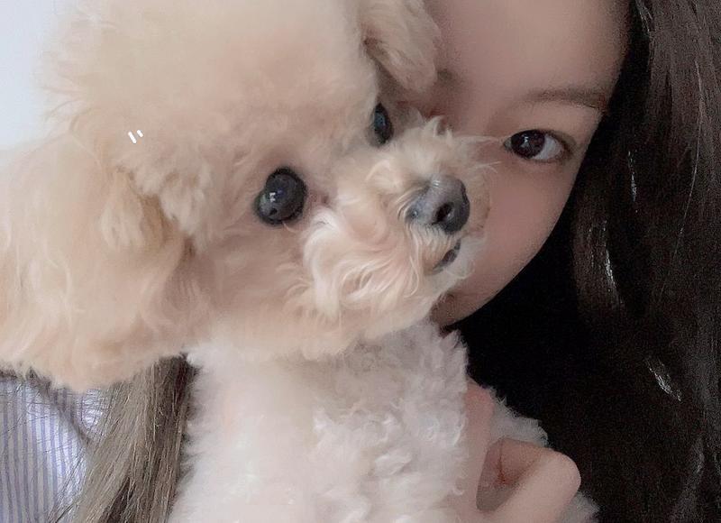 老公出轨该告诉公婆吗，以老公出轨，该告诉公婆吗？