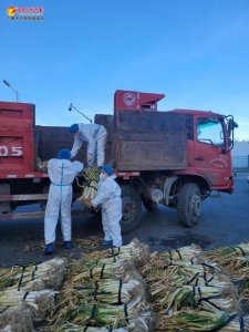 ​倾听群众诉求 解决急难愁盼 - 乌鲁木齐骑马山西社区团购大葱 两头的难题都解决