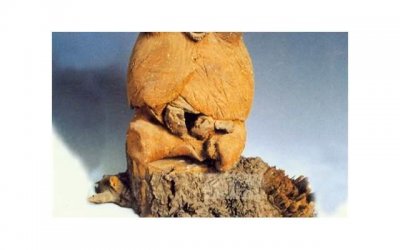 ​婚姻能够被撤销吗