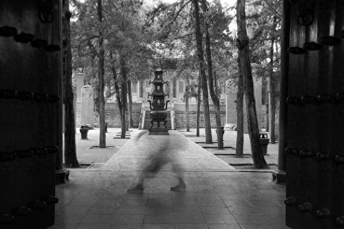 少林武术的武功秘笈