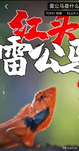​雷公马是什么梗，竟能在海南抗疫成功出圈