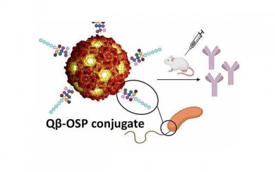 ​双鱼座男生个性详解，他一定能给你惊喜不断