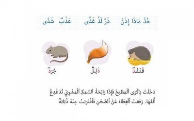 ​挽回爱情的奥秘，为什么服务器机柜是你拯救爱情的最佳利器？