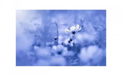 ​被C了一晚上第二天还能走路吗 被啪哭是什么体验