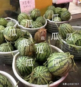 ​韩网过激言论多是中国网友伪造？又一个韩国百万UP主翻车了？