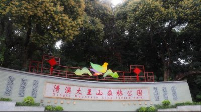 ​清溪大王山森林公园游玩攻略