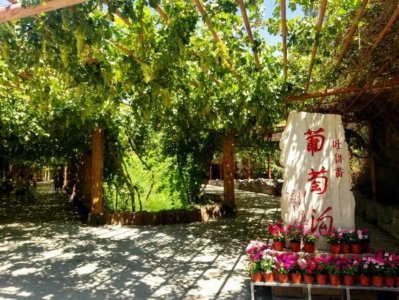 ​新疆吐鲁番5A景区-葡萄沟