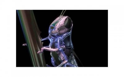 ​过了期的想念，就变成了打扰(思念会过期是哪首歌)