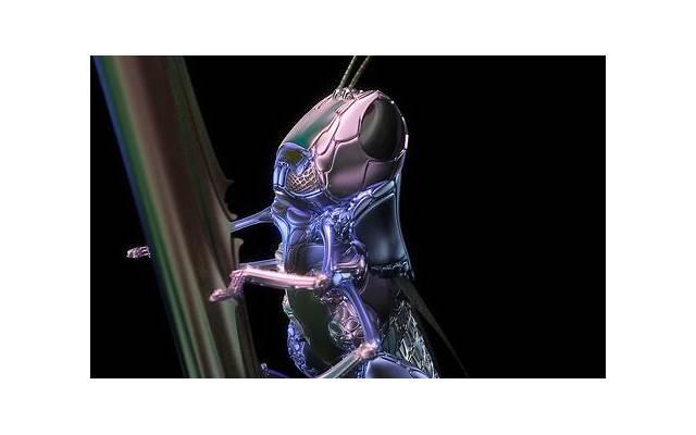 过了期的想念，就变成了打扰(思念会过期是哪首歌)