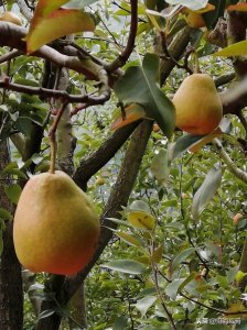 ​钦州市钦北区长滩镇