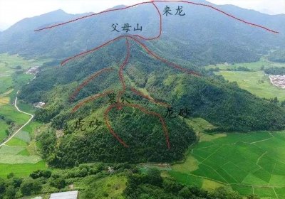 ​80后女“风水大师”王蓉：月收入超2万，坚称“风水”不是骗人的