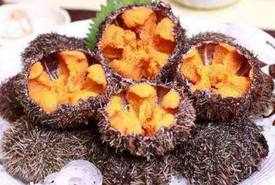 ​生海胆怎么处理 海胆生吃的好处以及食用方法