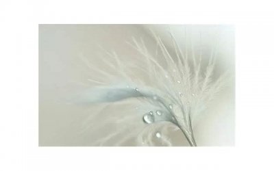 ​和女生聊天，女生最讨厌的三种聊天方式是什么