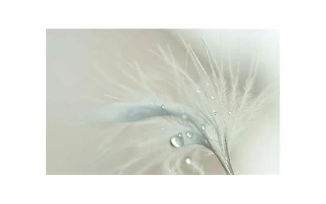 和女生聊天,女生最讨厌的三种聊天方式是什么 和女生聊天,女生最讨厌的三种聊天方式是什么