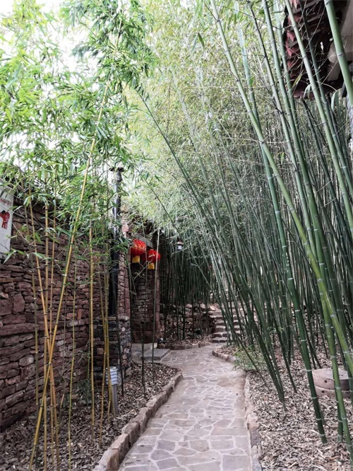 边走边拍之沂南竹泉古村，竹林丛中，幽境更幽，桃花源式村落