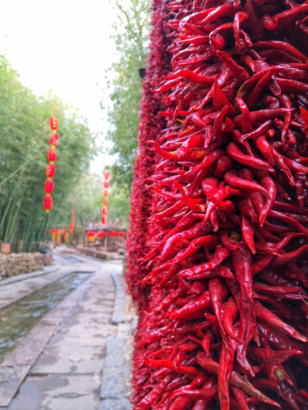 边走边拍之沂南竹泉古村，竹林丛中，幽境更幽，桃花源式村落