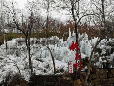 ​边走边拍之沂南竹泉古村，竹林丛中，幽境更幽，桃花源式村落
