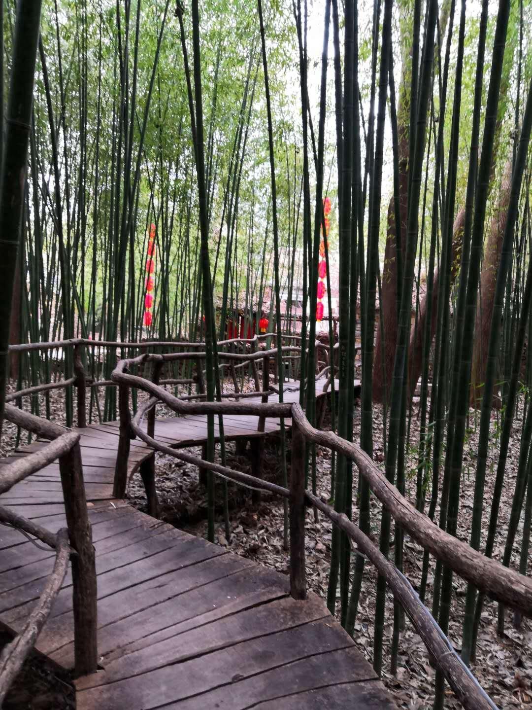 边走边拍之沂南竹泉古村，竹林丛中，幽境更幽，桃花源式村落