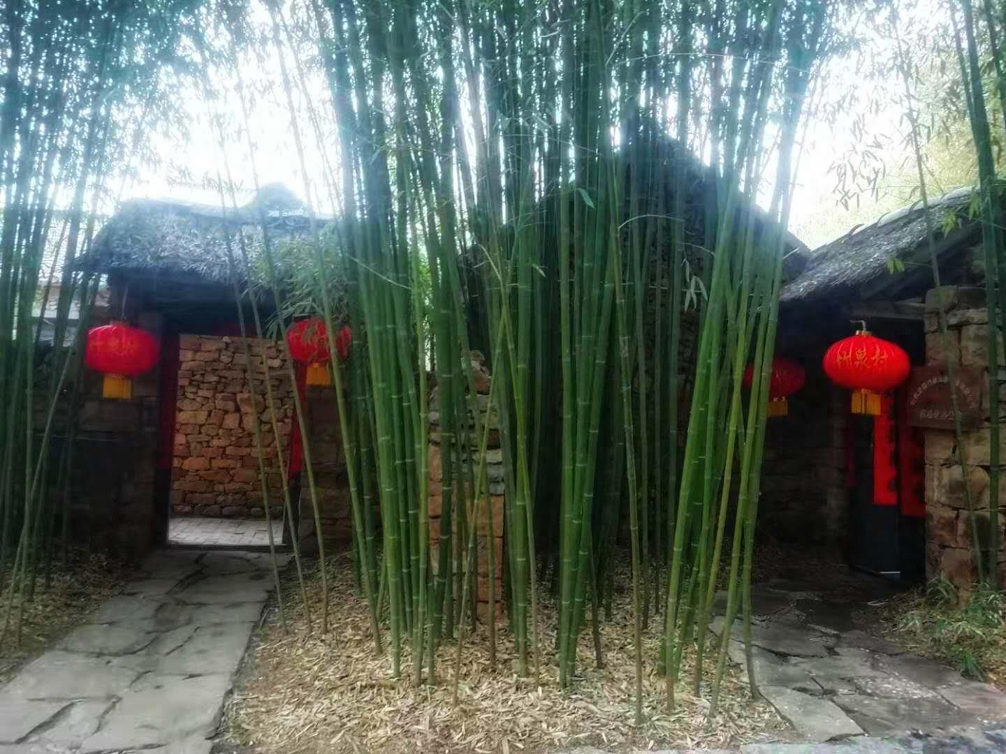 边走边拍之沂南竹泉古村，竹林丛中，幽境更幽，桃花源式村落