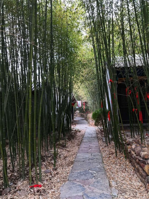 边走边拍之沂南竹泉古村，竹林丛中，幽境更幽，桃花源式村落