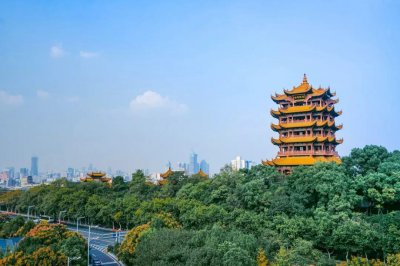 ​武汉这个花鸟市场，买花如同买菜，藏在闹市区少有人知