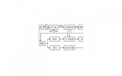 ​相亲后如何发展关系(相亲后如何发展关系)