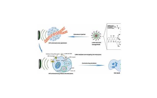 内服中药美白的方法与效果