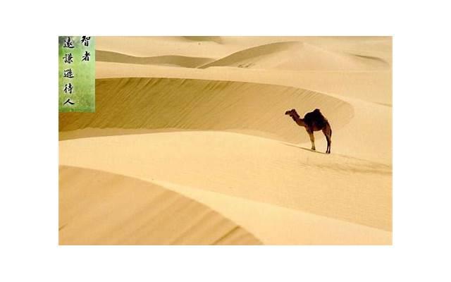 一个身份证住两个人要怎么处罚