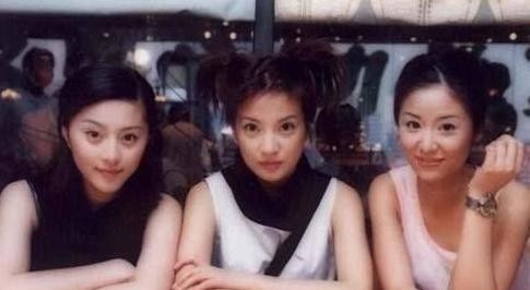 赵薇和范冰冰有什么仇(范冰冰赵薇什么关系) 赵薇 范冰冰 第2张