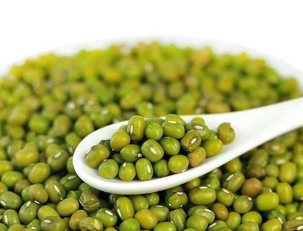 绿豆对人体有哪些好处