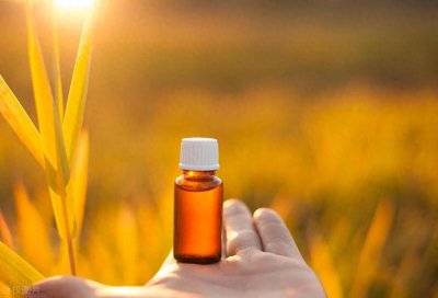 ​农药兽药板块龙头股票有哪些（附2024年中报个股业绩排名）